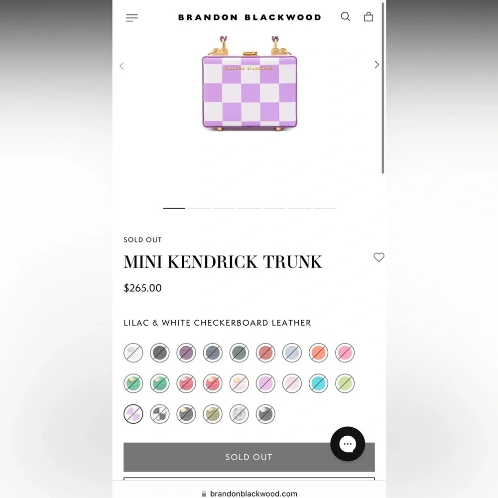 MINI KENDRICK TRUNK // Brandon Blackburn (SOLD OUT EVERYWHERE) - NWT - Picture 3 of 9